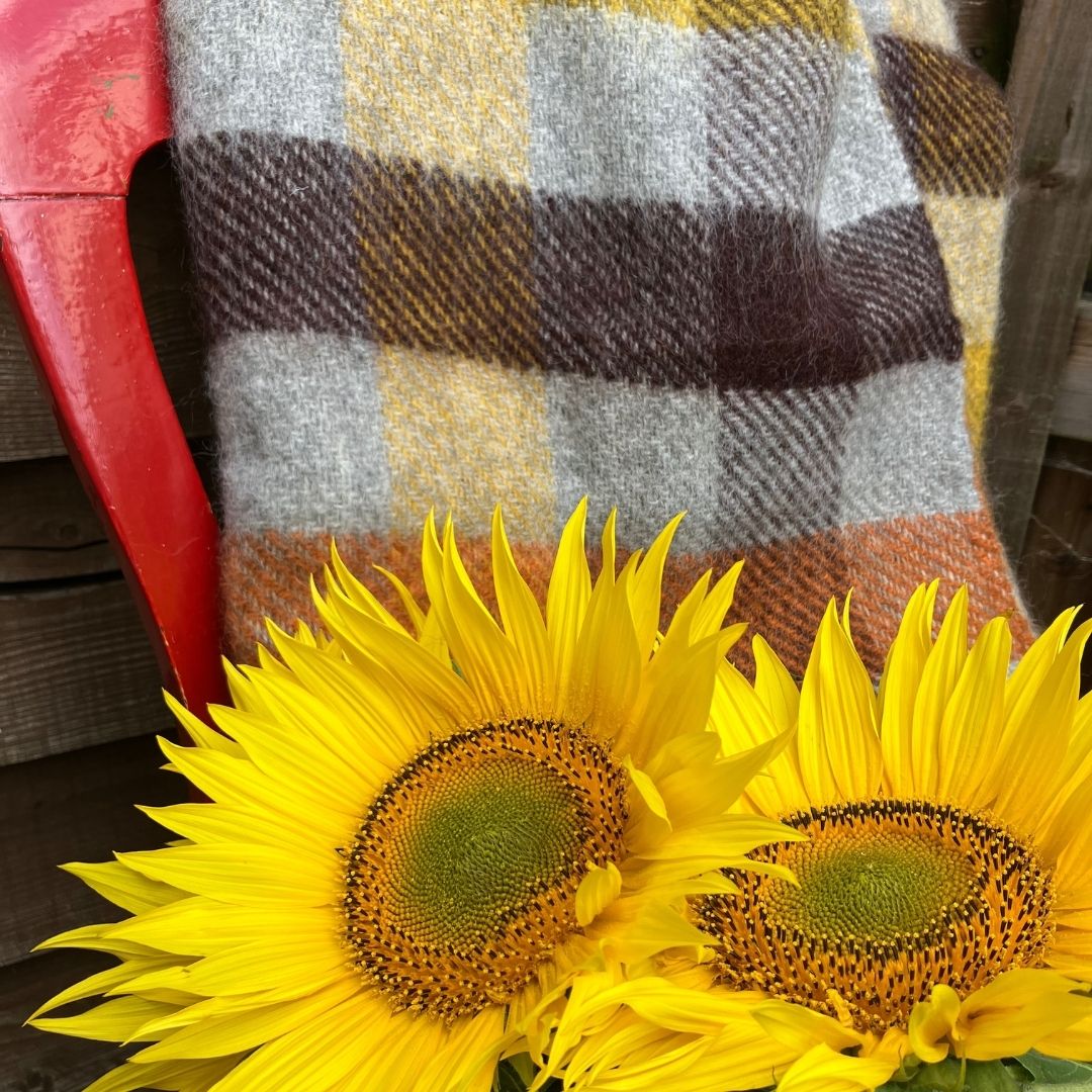 Multi Yellow Gotland on a red chair with yellow sunflowers