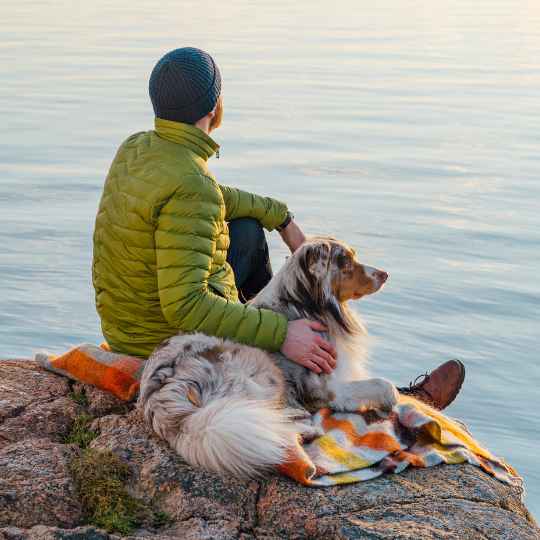 Gotland wool throws with a man and dog