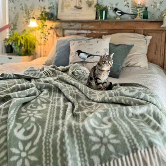anno green lambswool throw on a bed with a cat sat on the bed