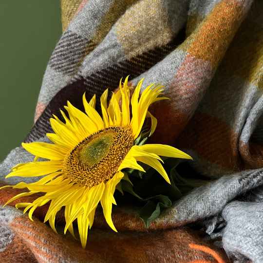 Gotland multi yellow wool throw with a sunflower 