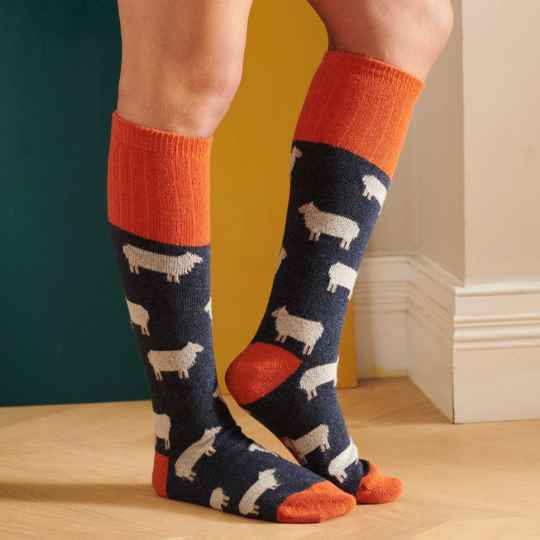person wearing navy sheep socks with orange accents