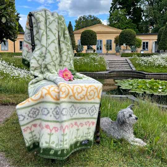 linnaeus lambswool blanket on a chair outside with a dog