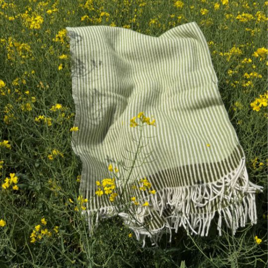 rib green lambswool throw in a field